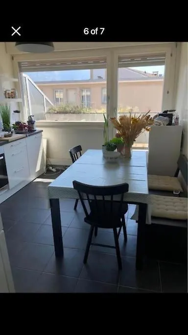 Two Bedroom Cozy Flat In The Heart Of Genève Appartement
